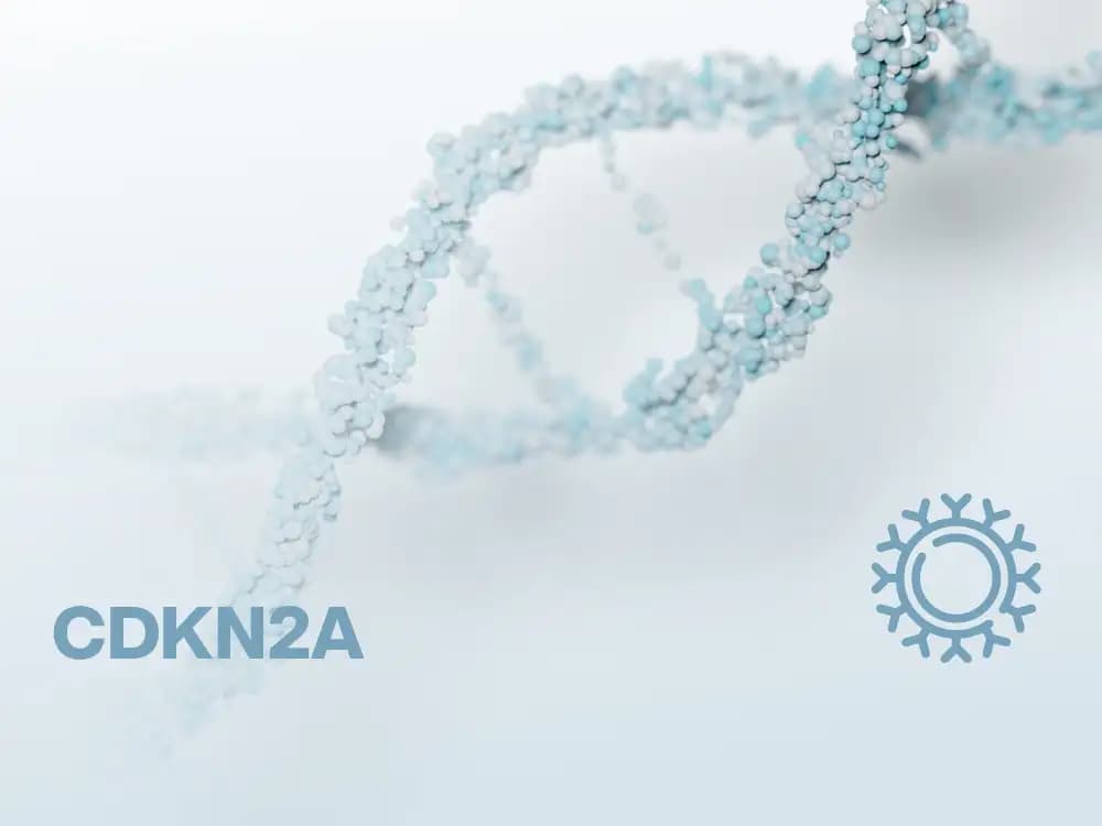 Nowotwory złośliwe gen CDKN2A – czerniak, rak trzustki i płuc