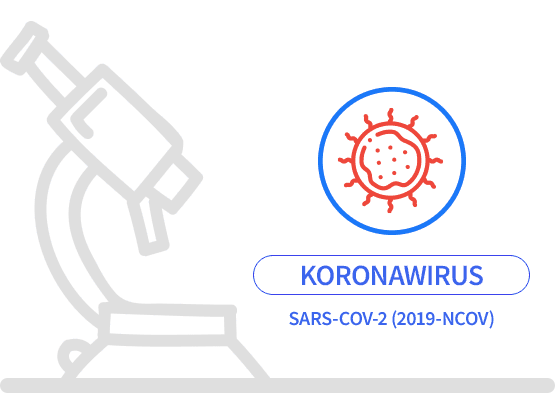 Koronawirus SARS-CoV-2 – badanie RT-PCR z zaświadczeniem lekarskim do Japonii