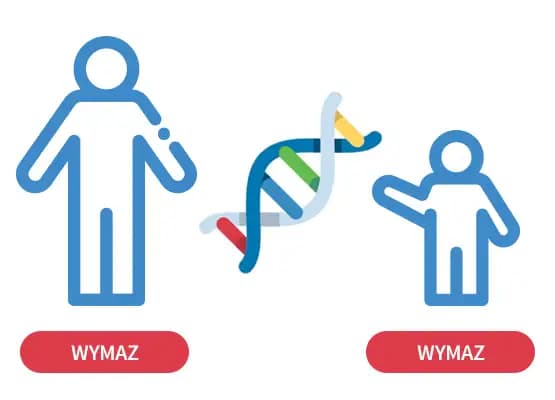Test DNA na pokrewieństwo (wuj/ciotka - bratanek/bratanica/ siostrzeniec/ siostrzenica) do celów prywatnych - do 72 markerów genetycznych, 2 osoby, 2 x wymaz, test wysyłkowy