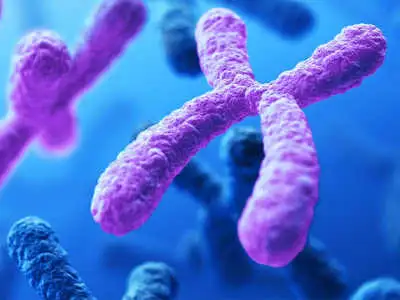 Badanie kariotypu - co to jest, kto powinien je wykonać?